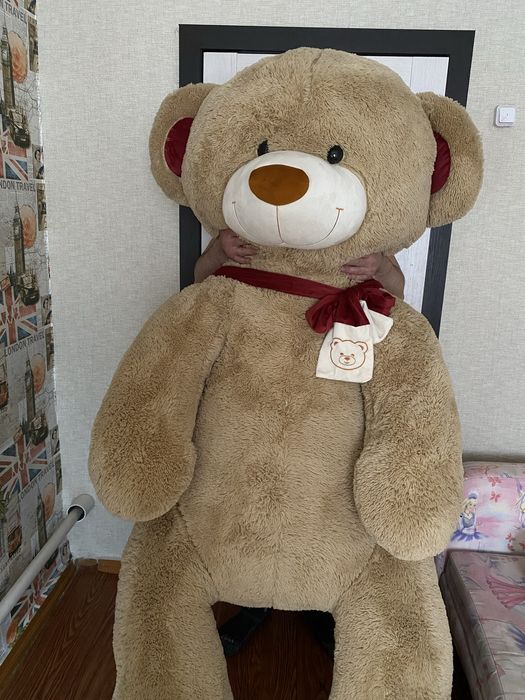 Продам медведя.Супер подарок.