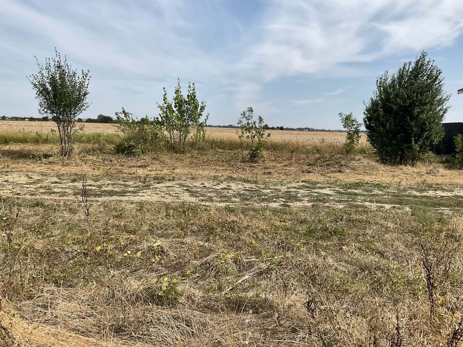 Teren 500 MP – Clinceni, langa ferma de struti