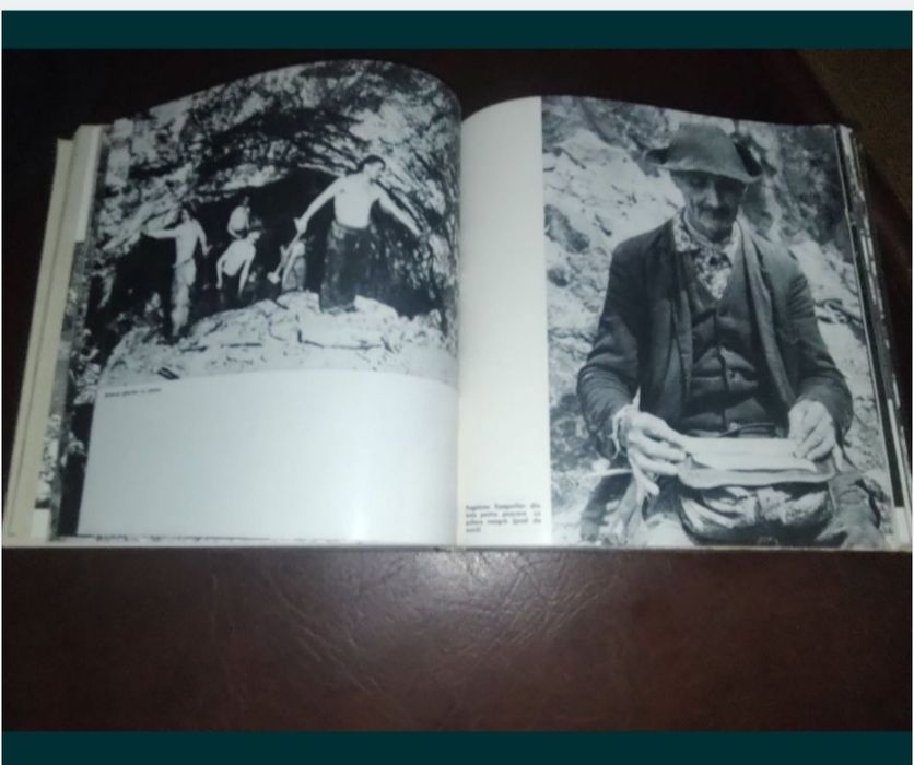 Cartea "Aurari din Munții Apuseni"