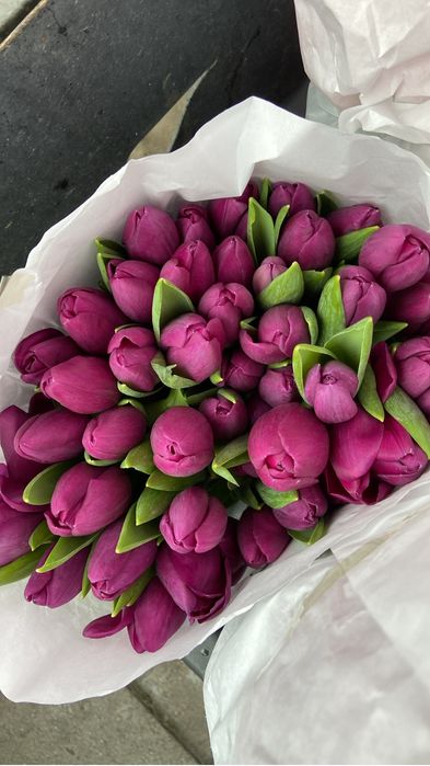 Тюльпаны 8 марта Алматы. Свежие цветы