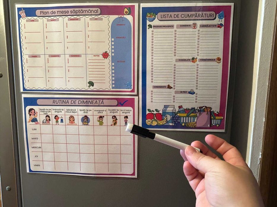 Set 3 fise planner de frigider fetita