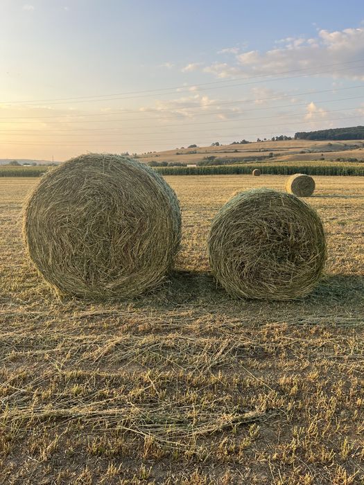 Vând baloți de lucernă cu frunză, fân și paie – Calitate superioară