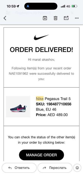 Кроссовки для бега NIKE PEGASUS TRAIL 5