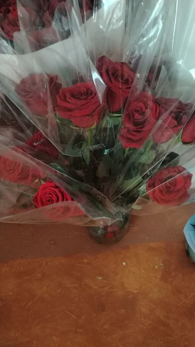 Продам живые цветы