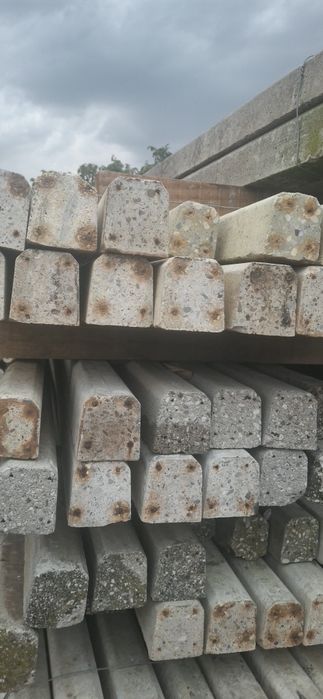 Stâlpi, spalieri 3 m