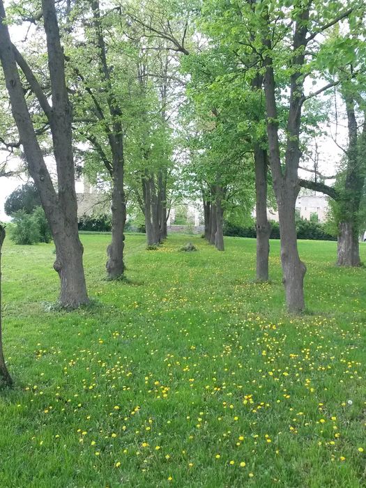 Vand sau schimb teren intravilan 2ha cu cf la 40 km de Cluj-Napoca