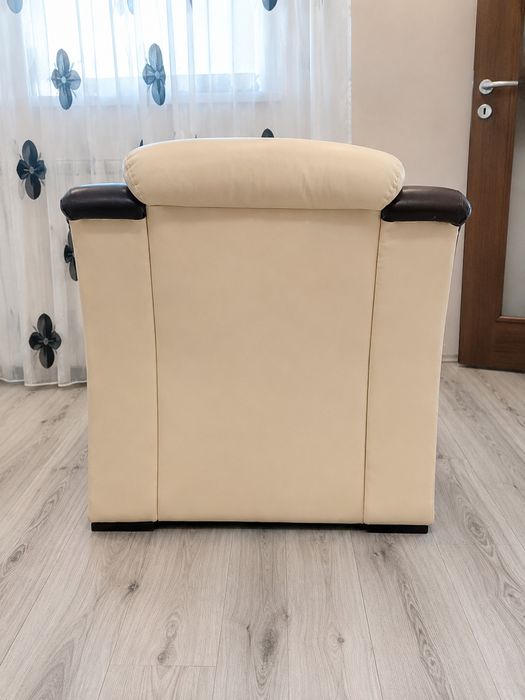Fotolii din piele ecologica