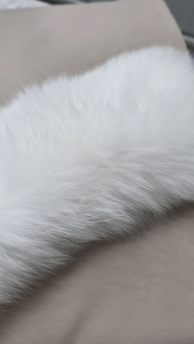 Guler de blana alba Vulpe polara etola