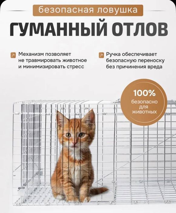 Гуманная ловушка для птиц кошек крыс
