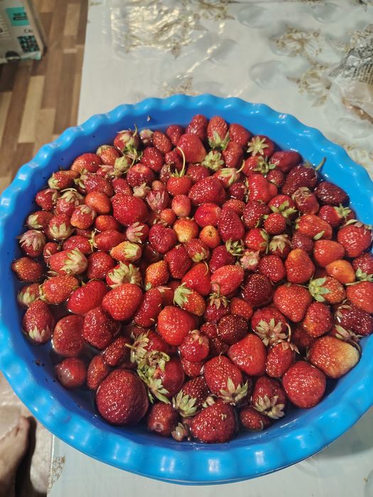 Дача продам срочно