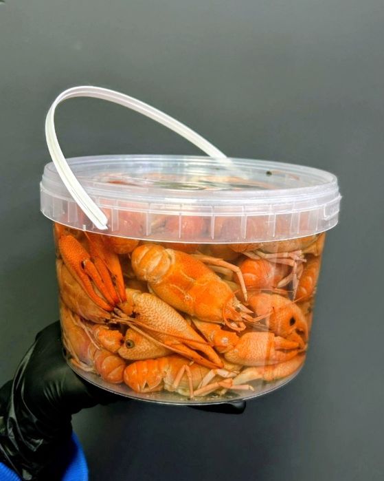 Раки ! Сочные вареные