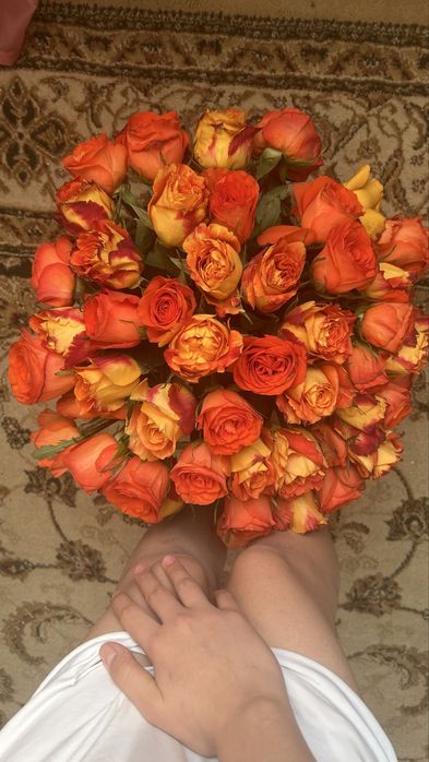 15к,торг есть, 51 двухцветные розы