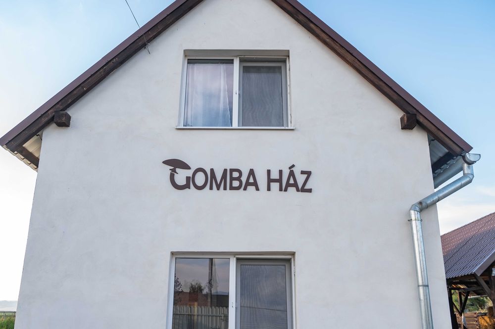 Saci de Ciuperci Pleurotus - Casa de Ciuperci Lunga