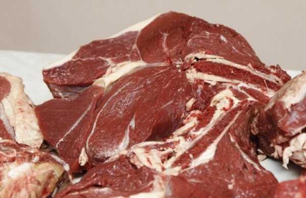 Мясо лошади фото Мясо лошади фото