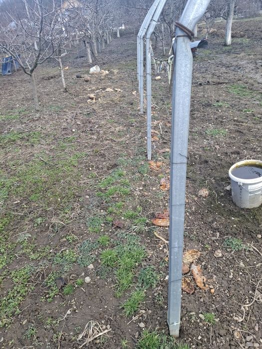 Solar legume 8m x8m