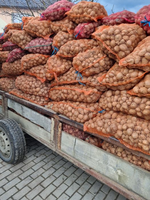 Vand cartofi pentru animale