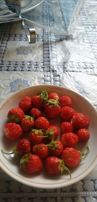 Продается дача в живописном месте