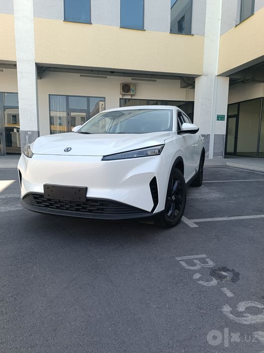 Dongfeng sky ev01