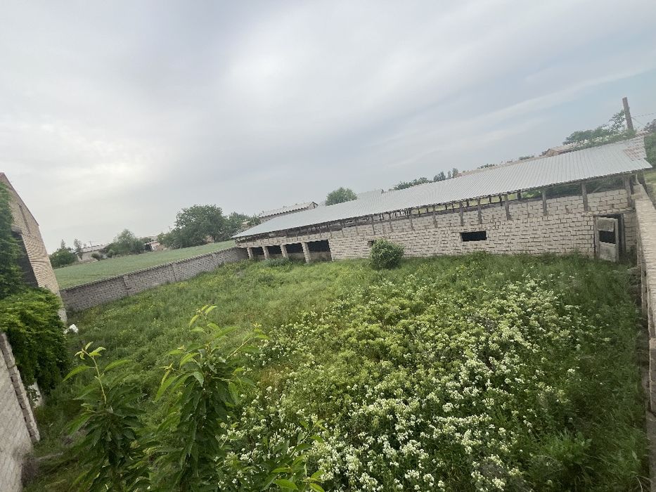 Toshkent viloyati Toshkent tumani yer sotiladi