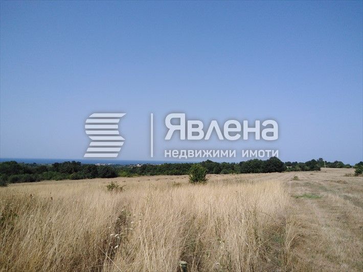 Продава се Парцел в с. Велика, Област Бургас - 3724 кв.м за 47 €/кв.м - Снимка #3