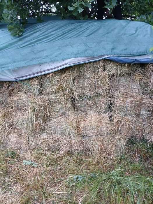 Vând lucernă balot dreptunghiular de 85