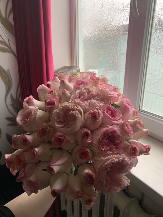 гул свежие бугинги