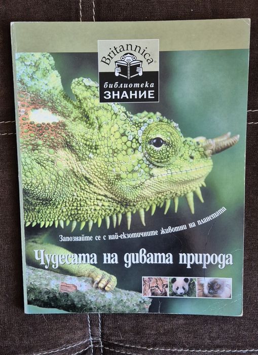 Детски книги на различна тематика