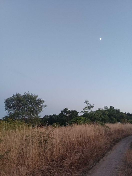 Дава се под наем Къща в Плевен, Широк център - 50 кв.м за 79.56 € - Снимка #7