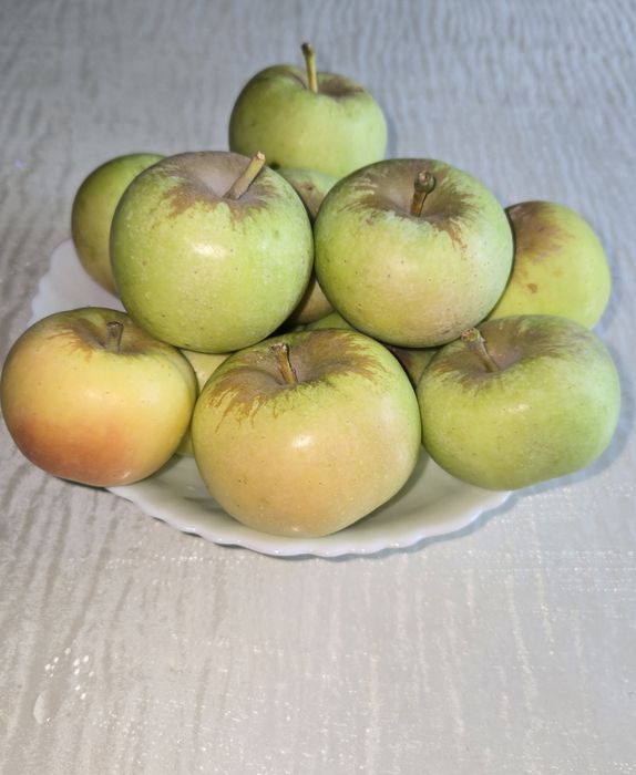 Продам яблоки сорт лимонка
