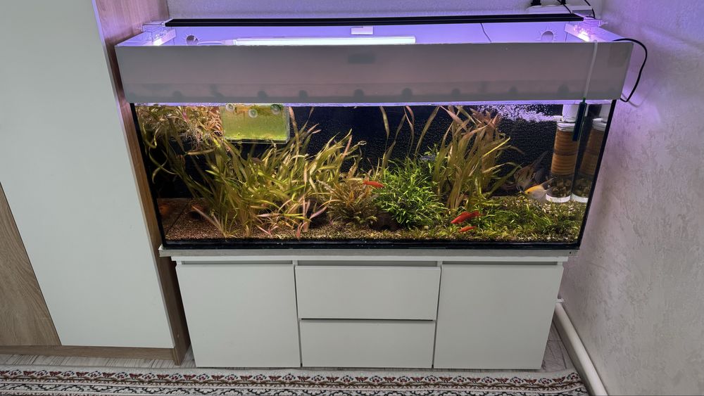 Аквариум 270 литр