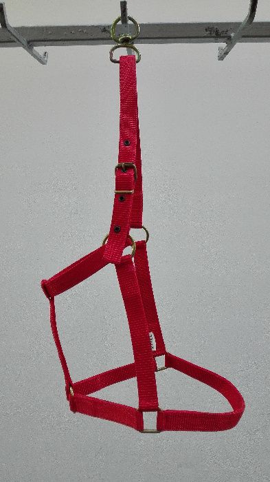 capastru ECVIDEE/BOVINE | art. economy, lucrat din fibre ⟣GARANTIE ⁴⁸