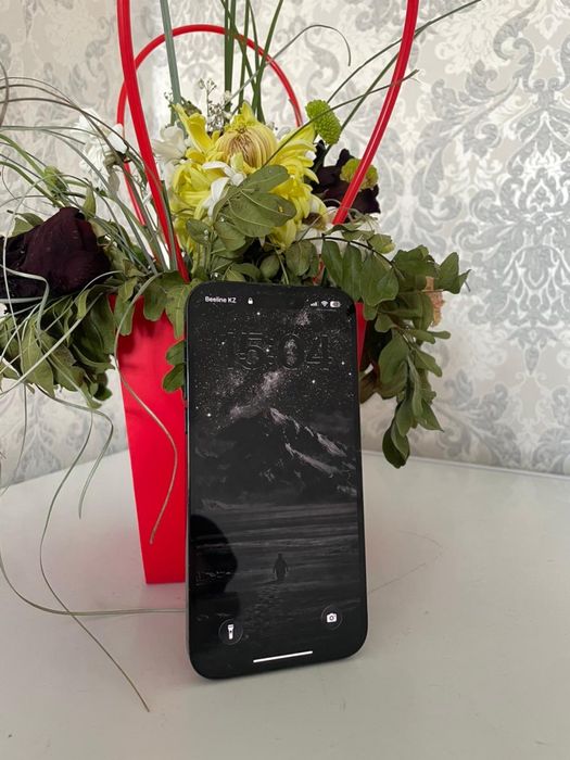 14 Pro Max идеал