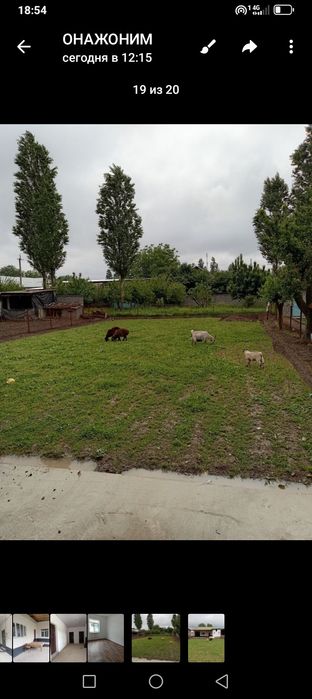 Товоксой сажарисда уй сотилади 4хона