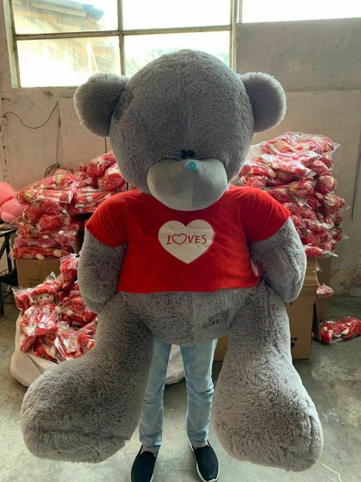 Teddy+Teddi Bonusga Orginal 100%