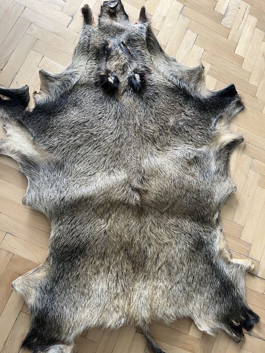 Кожа от Глиган Диво прасе