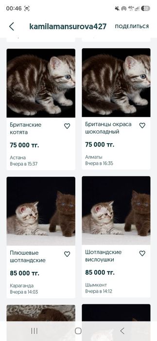 Британские прекупы осторожно