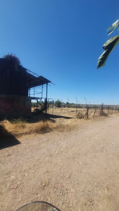 Dachni uchastka sotiladi 6 sotx