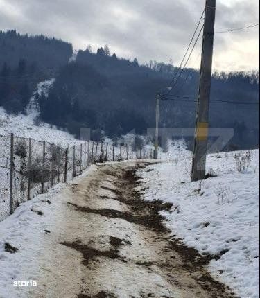 Teren de vanzare, destinatie constructii turistice, Bunloc, 7.300 mp