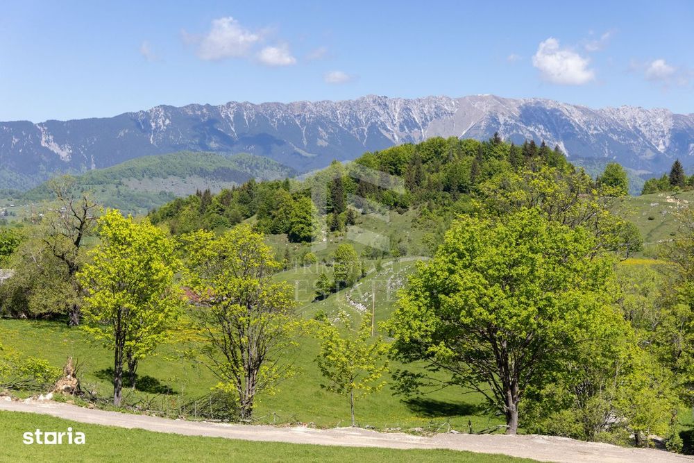 Fundata-Teren de vanzare 15,771 mp intravilan+extravilan+padure