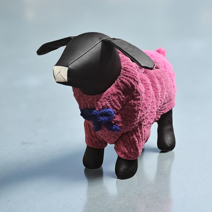 Свитер вязаный для собаки.