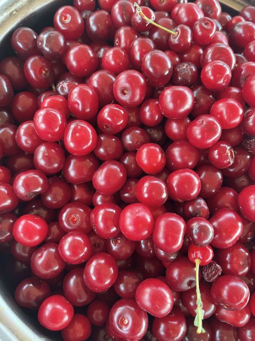 Сдам дачу в аренду