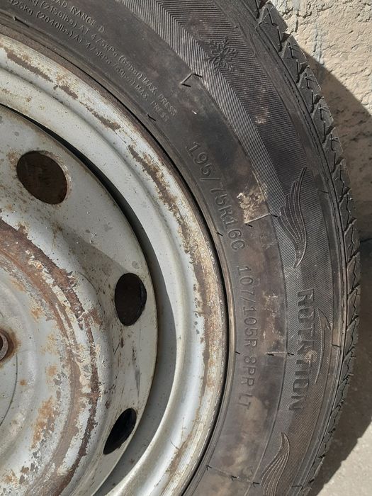 Yangi balon sotiladi