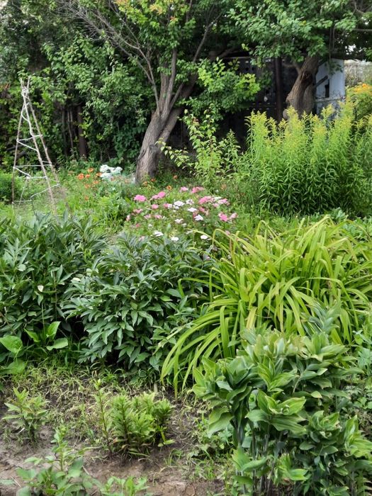 Продается дача Строитель за пеплом