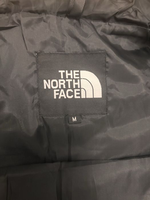 Vesta the north face