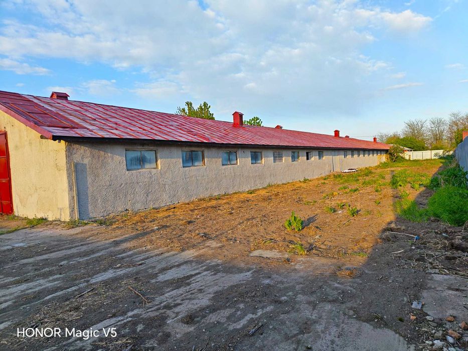 Hală 900 mp cu birouri și anexe, teren 3.000 mp – Șiliștea, Brăila