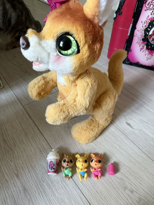 кенгуру интерактивная