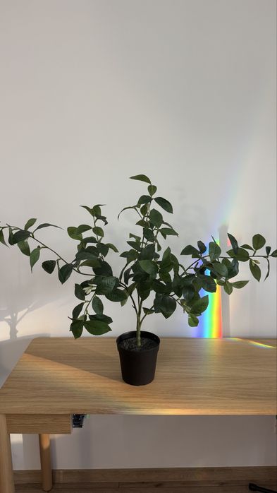 Planta artificiala Fejka Ikea
