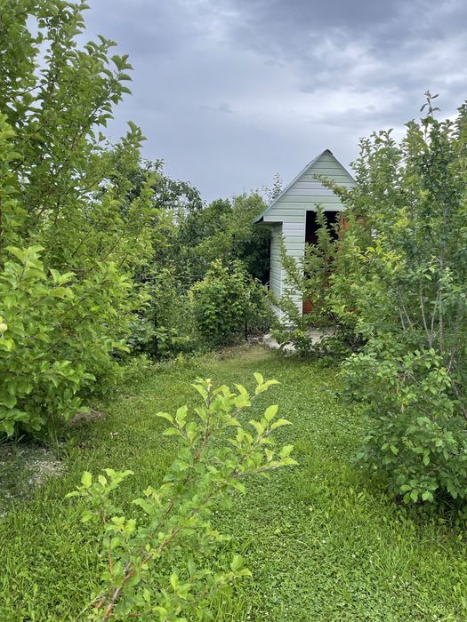 Продается  шикарная дача в Новой Бухтарме