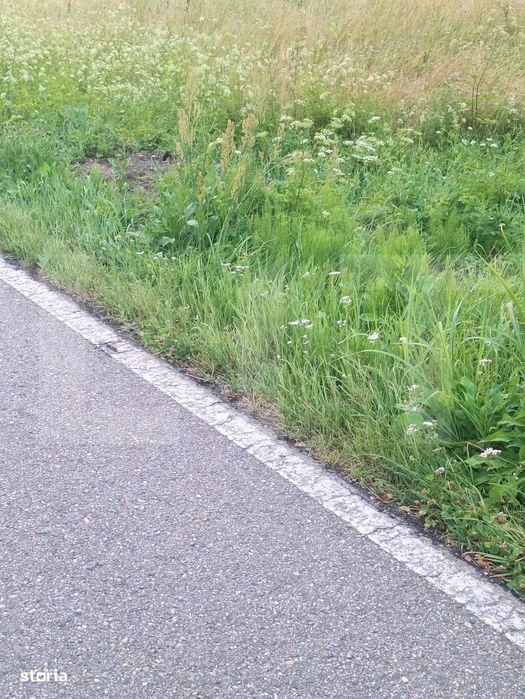 Teren de vanzare, 5800 mp, zona Jena