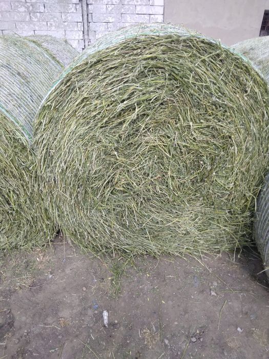 Baloti rotunzi lucerna amestecata cu fan, 1.25/1.25